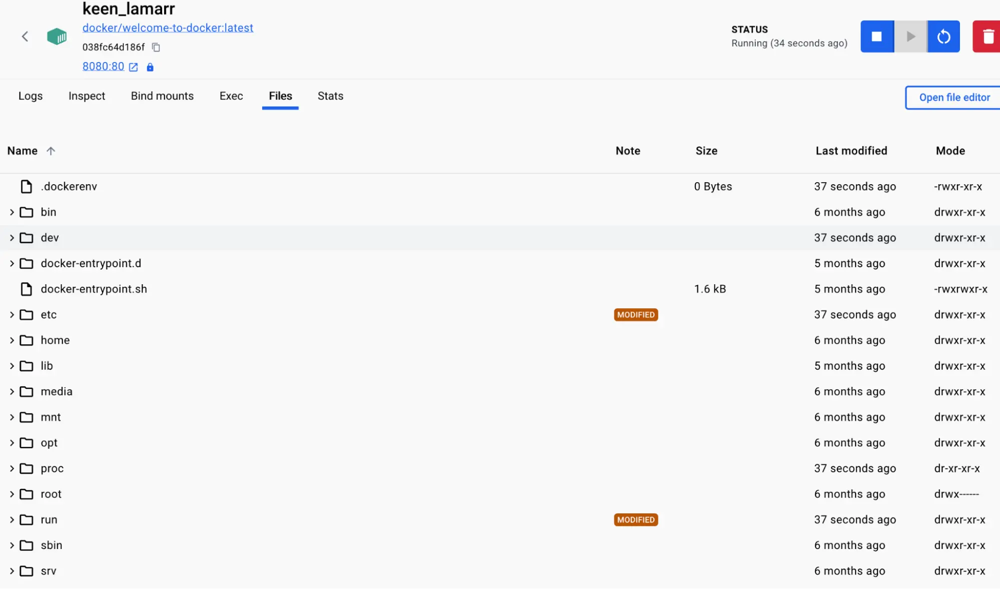 Screenshot of the Docker Desktop Dashboard showing the files and directories inside a running container